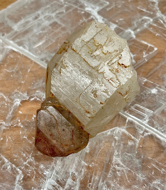 Scepter